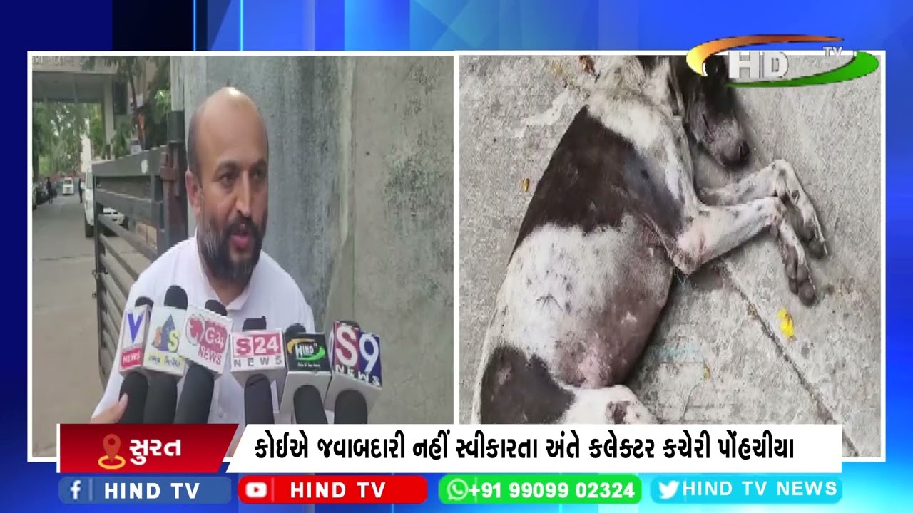 સુરત ખાતે જીવદયા પ્રેમીનો અનોખો વિરોધ આવ્યો સામે