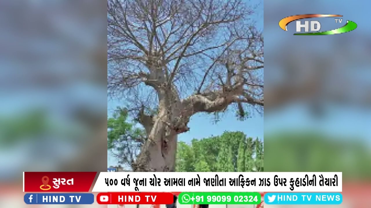 સુરતમાં મેટ્રો પ્રશાસન ચોર આમળાનું ઝાડ કાપવાની તૈયારીમાં