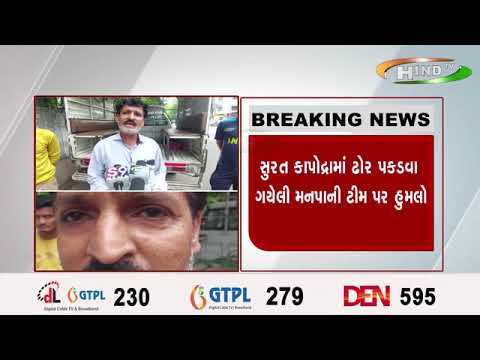 સુરત કાપોદ્રામાં ઢોર પકડવા ગયેલી મનપાની ટીમ પર હુમલો