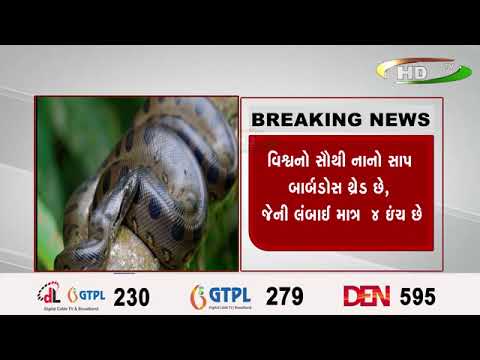 આજે, વિશ્વ સાપ દિવસ…વિશ્વમાં ૩,૫૦૦થી વધુ સાપની પ્રજાતિઓ છે