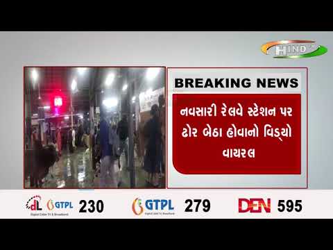 નવસારી રોડ રસ્તા બાદ રખડતા શહેરમાં ઢોરોનું નવું સરનામું ઍટલે રેલવે સ્ટેશન !