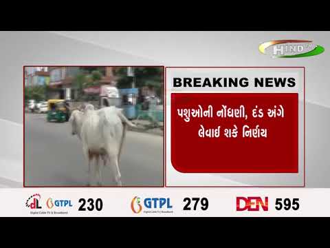 રાજકોટમાં રખડતા ઢોર અંગે આરઍમસી લઈ શકે નિર્ણય