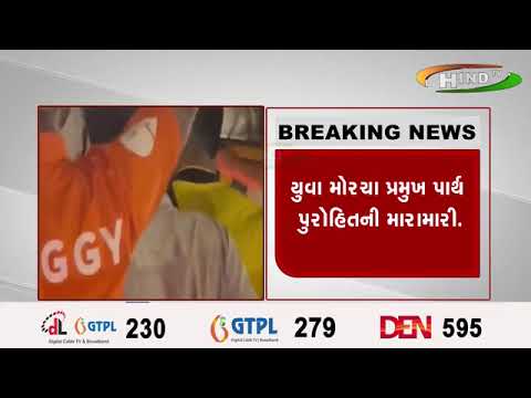 વડોદરા શહેરમાં ભાજપના નેતાની બબાલ…