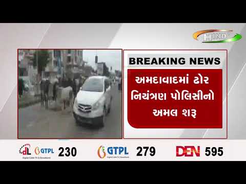 અમદાવાદમાં ઢોર નિયંત્રણ પોલિસીનો અમલ શરૂ