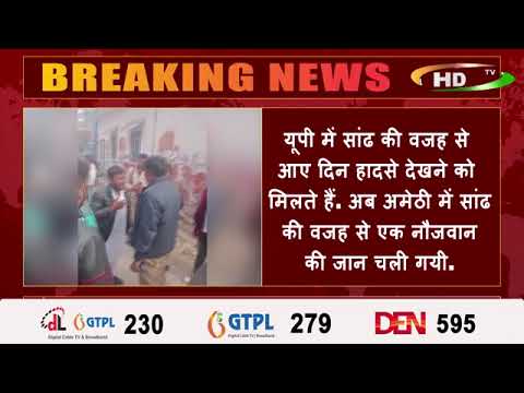 यूपी में सांढ की वजह से आए दिन हादसे देखने को मिलते हैं.