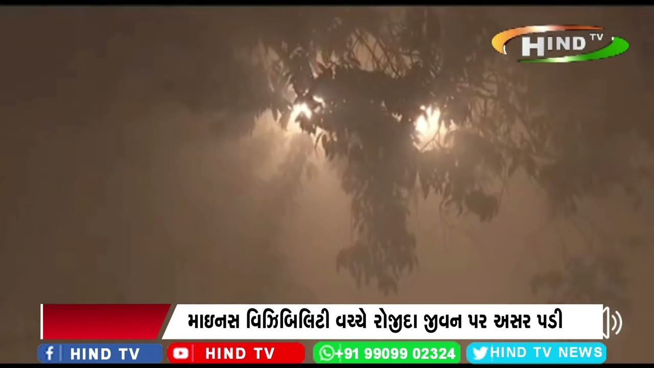 ઉત્તર ભારત સહિત દિલ્હીમાં ગાઢ ધુમ્મસની ચાદર પથરાય