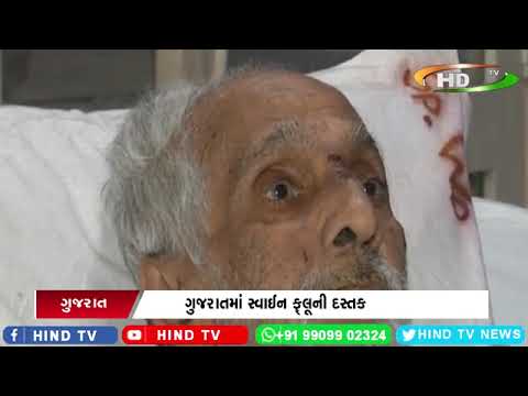 ગુજરાતમાં નવી બીમારીની એન્ટ્રી જાન્યુઆરીથી અત્યાર સુધી 180 કેસ, 9 લોકોના મોત