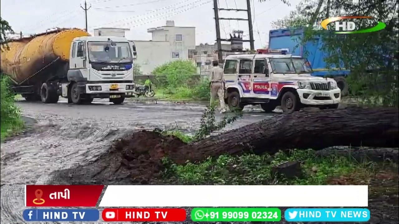 સોનગઢ ઉકાઈ રોડ આદર્શ નગર પાસે મોટું ઝાડ ધરાશય