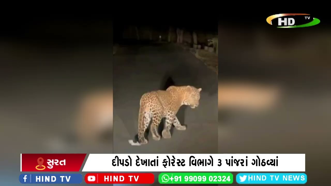 સુરતમાં ભાટપોરમાં તાપી નદી કિનારે દેખાયો દીપડો