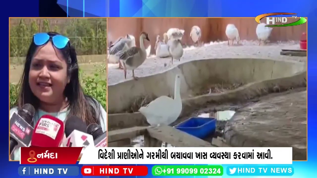 હાલમાં નર્મદા જિલ્લાનું 35 થી 40 ડિગ્રી તાપમાન