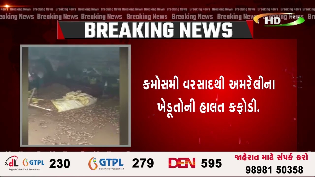 કમોસમી વરસાદથી અમરેલીના ખેડૂતોની હાલત કફોડી.